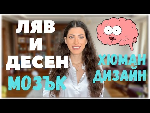 Видео: Пасивен и Активен Мозък | Хюман Дизайн | Human Design | Active & Passive Brain