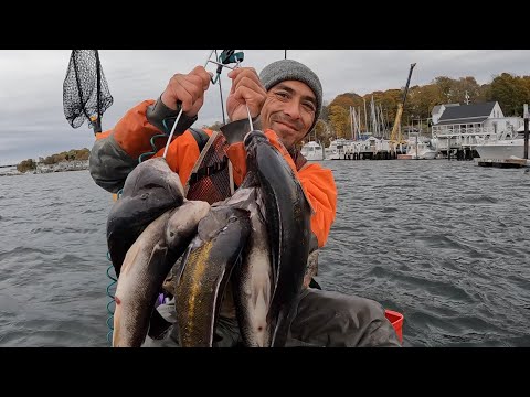 Видео: Ловля рыбы Tautog ПРЯМО У БЕРЕГА на КОТУ и джиг! Быстрый лимит прямо перед штормом!