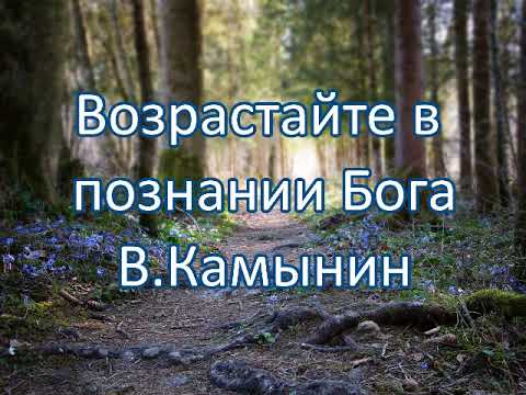 Видео: Возрастайте в познании Бога. В.Камынин. Беседа. Проповедь. МСЦ ЕХБ.