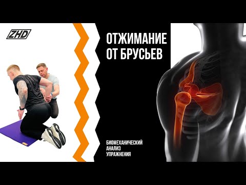 Видео: Отжимание от брусьев
