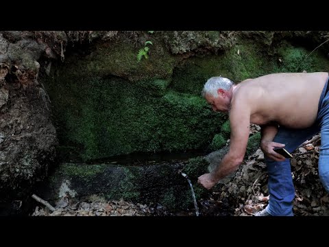 Видео: Дървото извор от Средна гора и гробът на Хаджи Димитър. (епизод 243)
