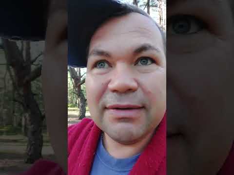 Видео: Таємниці лісу! )))🤣🤪