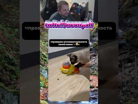 Видео: twitch.tv/neonpsh - розыгрыши и турниры каждый месяц!