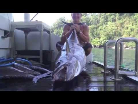 Видео: Подводная охота на Амбоне с Андре