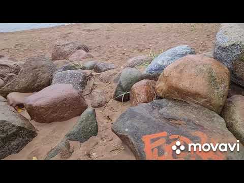 Видео: Финский залив от Балтики, курортное место.
