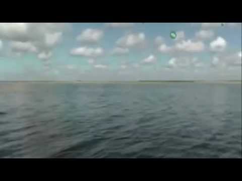 Видео: С Днем рождения мужчине рыбаку