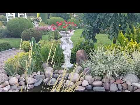 Видео: Н. Дементьев  Однажды вечером.