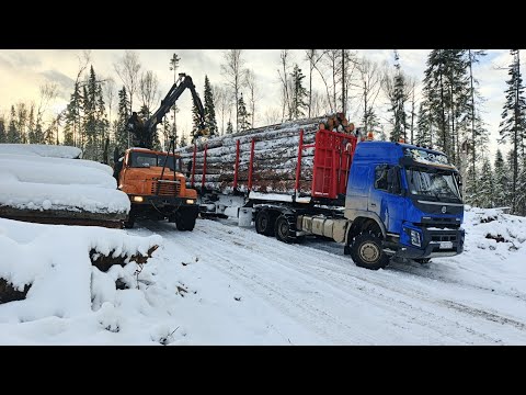 Видео: Цепи нам в помощ. Погода не даёт работать