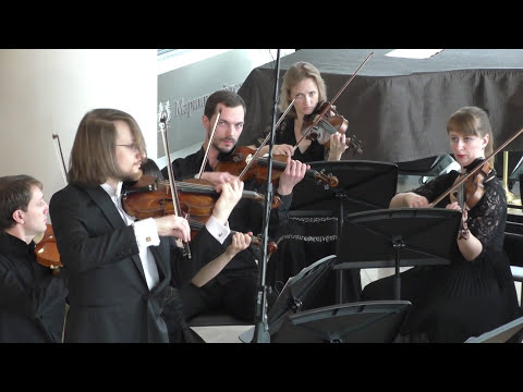 Видео: И.С.Бах -Концерт для гобоя, скрипки, оркестра BWV 1060R 24.02.2016 Камерный оркестр Мариинского т-ра