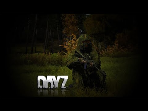 Видео: ARMA 2 DAYZ ORIGINS MOD - ПЕРВОЕ ЗНАКОМСТВО В 2024 ГОДУ