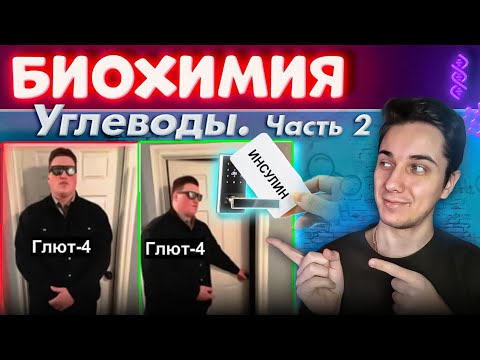 Видео: БИОХИМИЯ ПОЛНЫЙ КУРС | Лекция 5 | Биохимия углеводов 2 | Всасывание, транспорт, типы GLUT