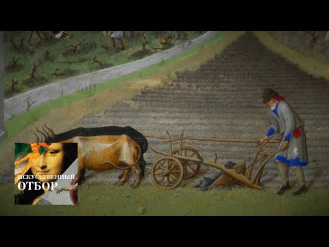 Видео: Искусственный отбор. Эфир от 11.09.2018 / Телеканал Культура