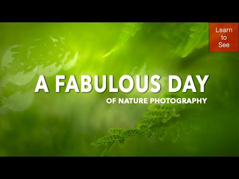 Видео: Одна прогулка, три прекрасных открытия | Фотография природы