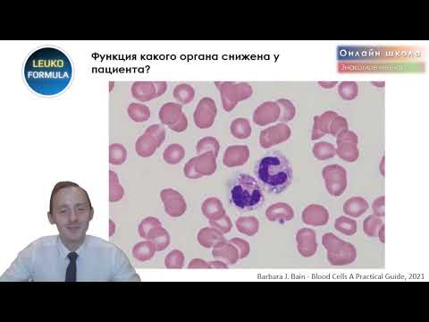 Видео: 🔬 «Не первый раз, но будто в первый класс!». Трейлер.