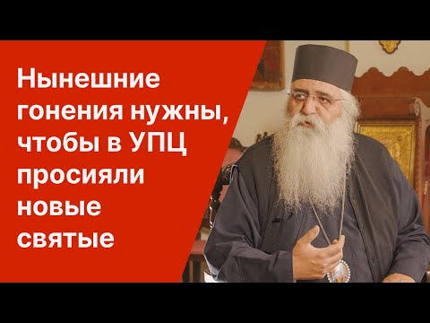 Видео: Нынешние гонения нужны, чтобы в УПЦ просияли новые святые