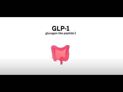 Видео: Роль агонистов рецепторов GLP-1 в снижении веса