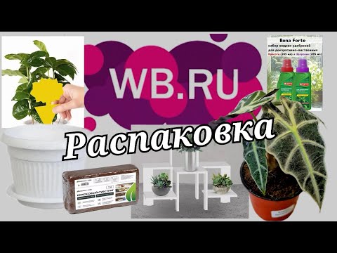 Видео: № 53 РАСПАКОВКА Wildberries.  Интересная цветочная.