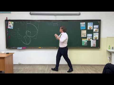 Видео: Золотое сечение