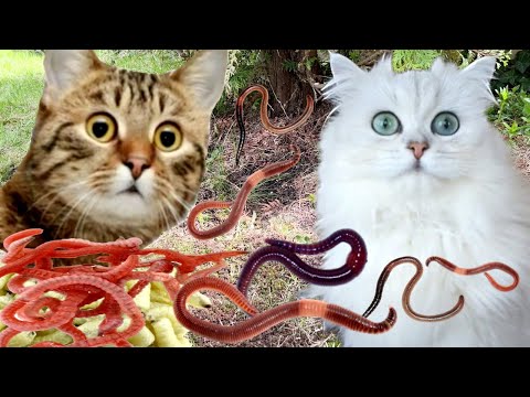 Видео: ЧЕРВИ АТАКУЮТ!!!  Кто нас СПАСЁТ??? ДЕТЯМ смотреть НЕЛЬЗЯ!!!