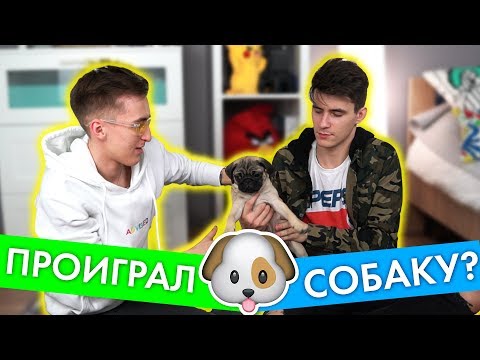 Видео: ПРОИГРАЛ СОБАКУ И 100.000 РУБЛЕЙ!