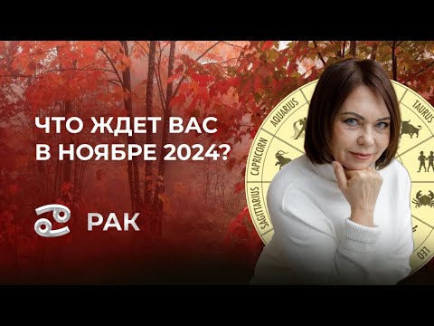 Видео: Ноябрь 2024 для Раков: Любовь, Творчество и Финансовые Вопросы!