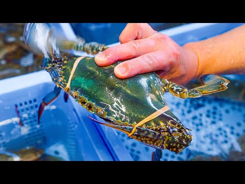 Видео: 55 лет мастерства приготовления живого голубого краба! Мастерство от знаменитого ресторана Осаки!