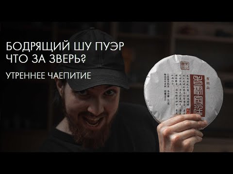 Видео: Бодрящий шу пуэр: какой выбрать, как заваривать | Опыт Art of Tea