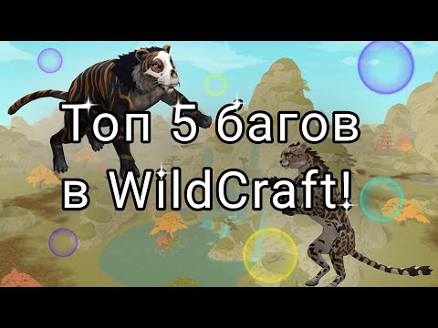 Видео: ||Топ 5 крутых багов 2023 года в WildCraft!!!🔥🔥😱😱 (Чит.Опис.)||