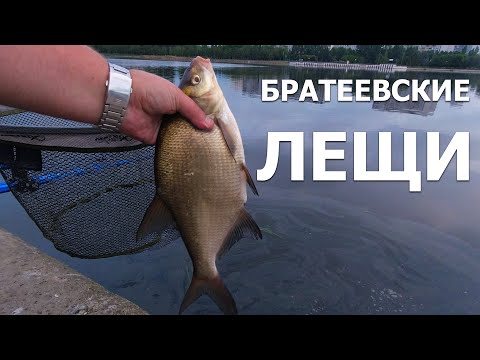 Видео: В Москве есть рыба? Конечно!