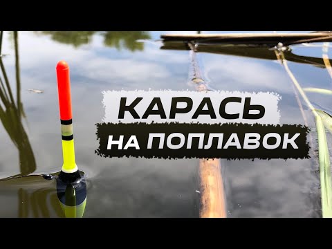 Видео: Ловля карасів на поплавок з берега. c.Лозівок. Рибалка в Черкасах.