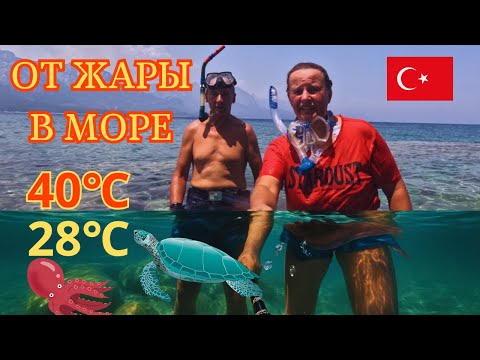 Видео: Подводный мир Антальи! 🌊