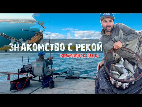 Видео: Знакомство с рекой Дон в окрестностях Волгодонска | День 1