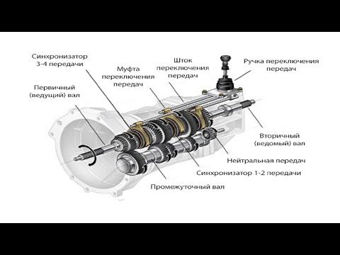 Видео: Форд Фокус 3 PowerShift пропали передачи (Омск)