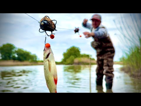 Видео: Ловлю РИБУ НА РЕЗИНКУ!!! Рибалка ДИТИНСТВА!!!