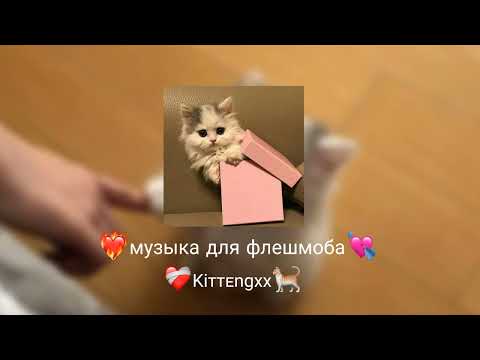 Видео: 🤍Музыка для флешмоба🤍