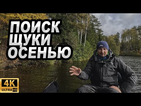 Видео: Где и как искать щуку осенью!?
