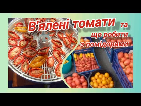 Видео: В'ялені томати та інші переробки помідорів @vsiogo_potroshku_u_seli