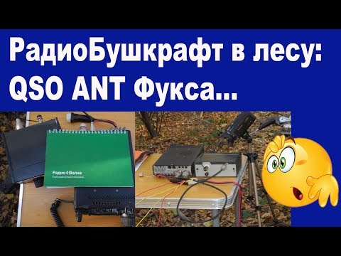 Видео: РадиоБушкрафт в осеннем лесу или проводим радиосвязи на антенне Фукса
