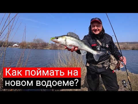 Видео: Как искать и поймать рыбу на новом водоёме? Рабочие приманки и проводки. [Спиннинг Arion 832 LS]