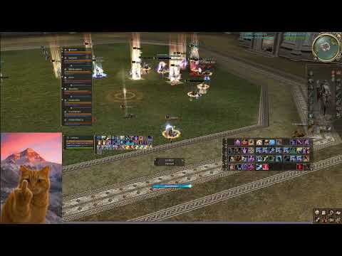 Видео: курка дживиджи, начало