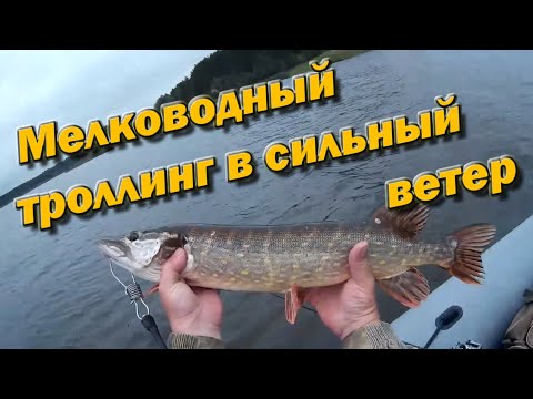 Видео: Щука Мелководный троллинг в сильный ветер Советы новичкам Сезон 2020