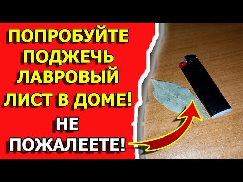 Видео: Что будет если поджечь лавровый лист. Ритуалы домашней магии