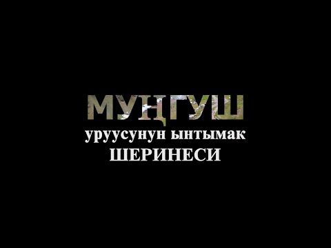 Видео: Мунгуш уруусунун ынтымак шеринеси.