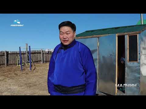Видео: [ Малчин айлд ] нэвтрүүлэг #43 Хэнтий аймгийн Батноров сумын малчин Б.Жанчивням