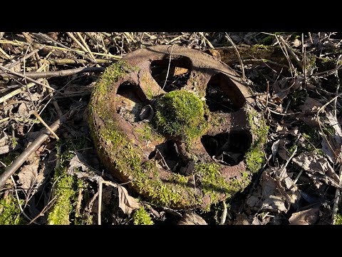 Видео: ВЕСЕННИЙ СЕЗОН НАЧИНАЕТСЯ С ИНТЕРЕСНЫХ НАХОДОК!