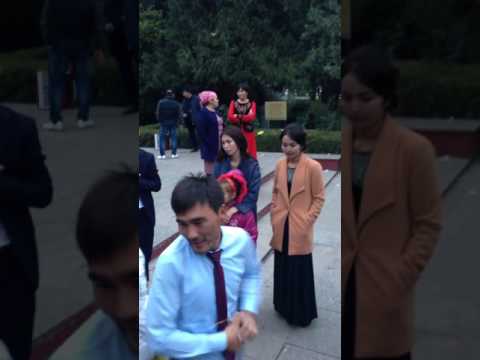 Видео: Шералы 93