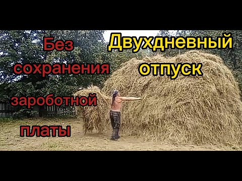 Видео: Двухдневный отпуск без сохранения зароботной