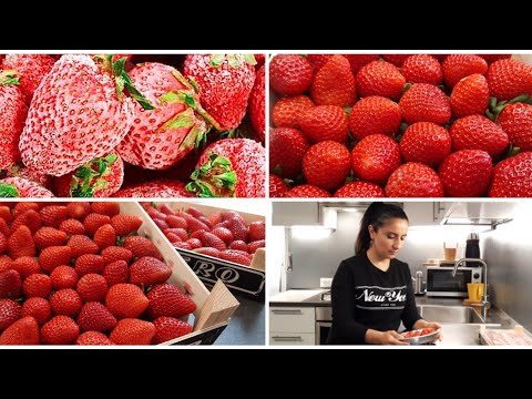 Видео: Իսկ դո՛ւք ինչպե՞ս եք սառեցնում ելակը։Սառեցման և հալեցման գաղտնիքները /պայմանները/заморозим клубники