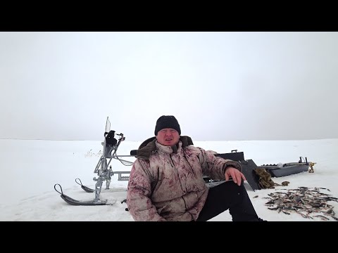 Видео: Мы  все таки нашли ее. Клев был, как из пулемета.