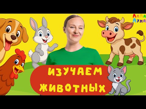 Видео: Сборник Весёлых и Познавательных Песенок про Животных Детям 0+ #детям #мультик #развивашки